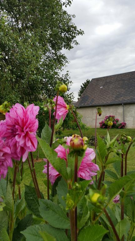 La Ferme Du Bois Paris Bed & Breakfast Ermenonville-la-Petite Exterior photo